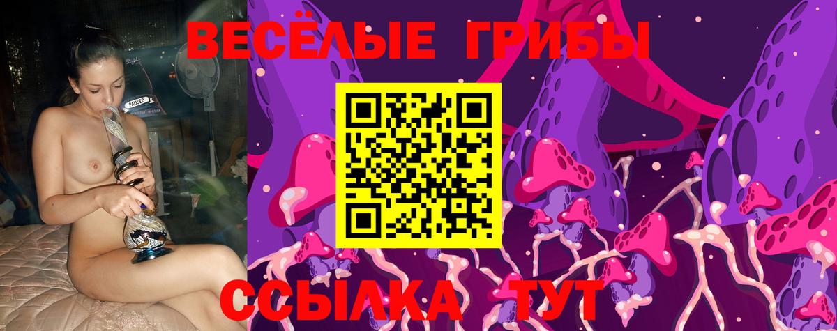 Галлюциногенные грибы Magic Shrooms  Галлюциногенные грибы Psilocybe  наркотики  Лысьва  Вход с VPN 
